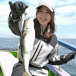 ダイワの富士村テスター