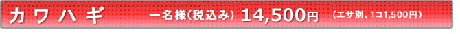 カワハギ料金